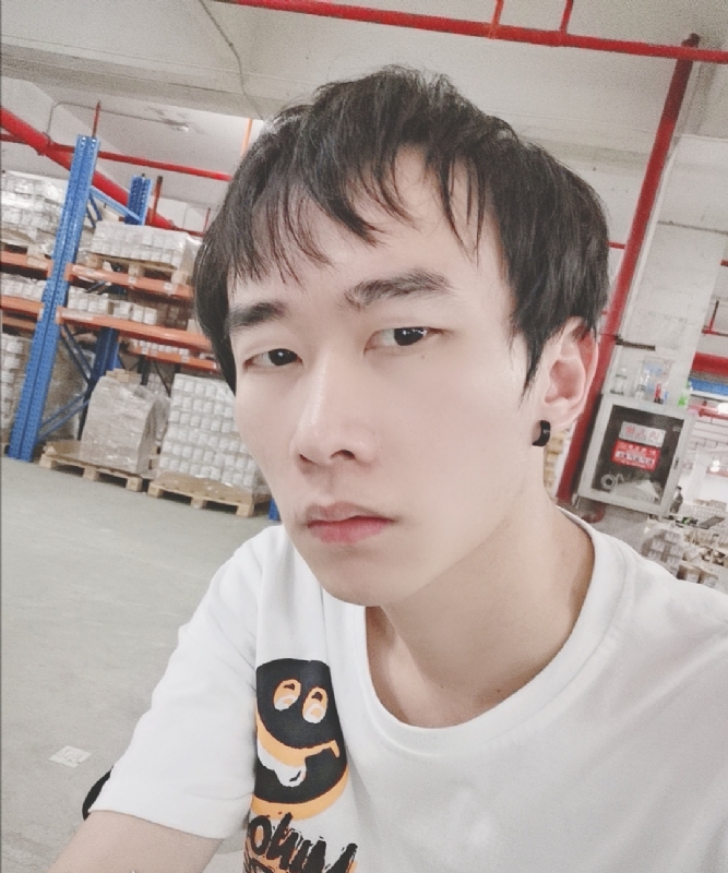 巷子里的猫的第一张照片--武汉中老年相亲网